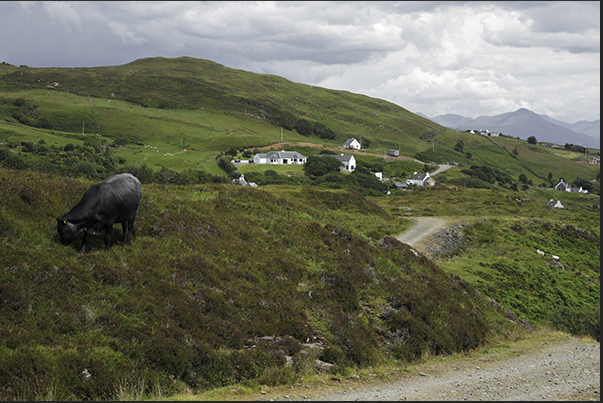 Pastures and farms along the coast of the southern peninsula Pastures and farms along the coast of the southern peninsula