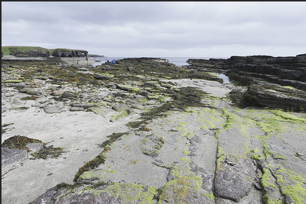 Low tide at the base of the cliffs along the north east coast