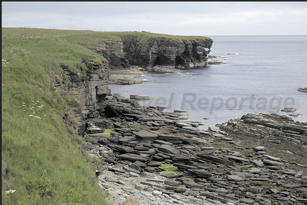 Cliffs along the north east coast