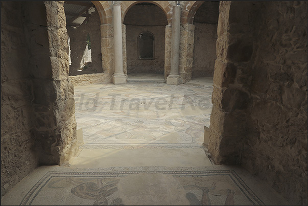 Mosaic floor at the polygonal entrance of the villa