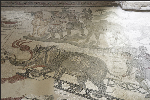 Corridor of the Great Hunt, capture of exotic animals such as a dromedary and an elephant