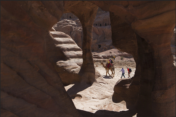From the houses carved into the rocks, are observed unexpected camel who accompanies the lazier tourists in visiting the city From the houses carved into the rocks, are observed unexpected camel who accompanies the lazier tourists in visiting the city