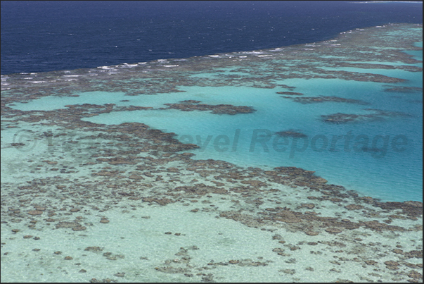 The west side of the Sanganeb reef The west side of the Sanganeb reef