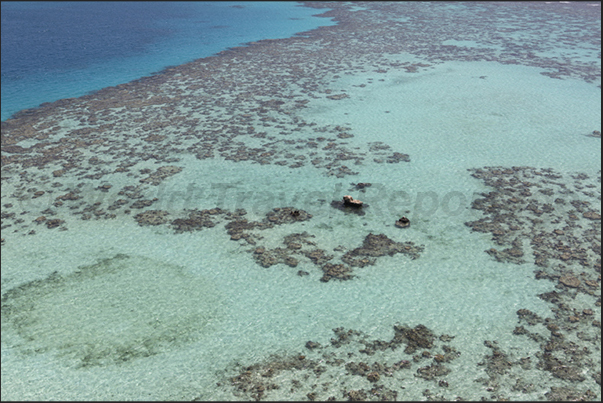 The  lagoon