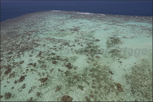 The southern tip of the reef, the place chosen by the cruise ships for scuba diving The southern tip of the reef, the place chosen by the cruise ships for scuba diving