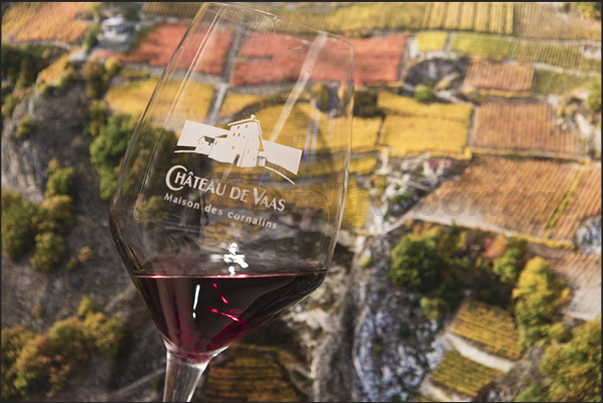 Wine tasting in the wine cellar of Chateau de Vaas. The tasting room Wine tasting in the wine cellar of Chateau de Vaas. The tasting room