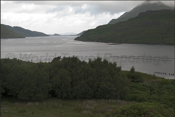 Connemara National Park