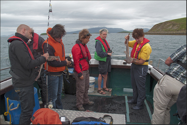 Port of Rockfleet near the town of Newport. The instructor explains how to fish the Tope a small shark species typical of the region