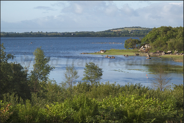 The lagoons of Pontoon Bridge in County Mayo on the west coast of Ireland The lagoons of Pontoon Bridge in County Mayo on the west coast of Ireland