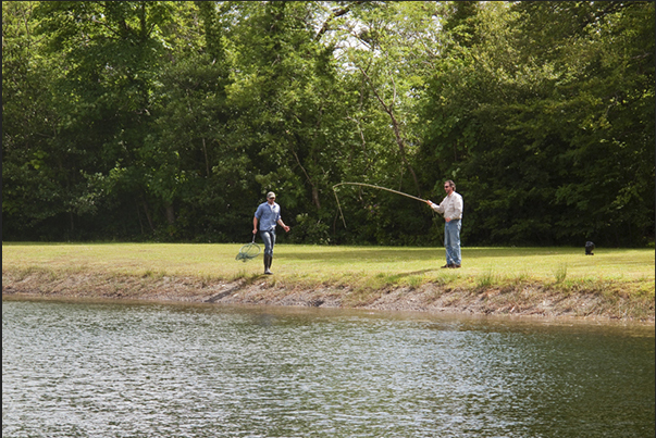 Mount Falcon Estate. Lessons to learn the fly fishing Mount Falcon Estate. Lessons to learn the fly fishing