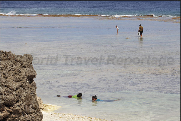 The women of the villages meet on the coral platform to collect crustaceans and shellfish The women of the villages meet on the coral platform to collect crustaceans and shellfish