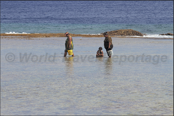 The women of the villages meet on the coral platform to collect crustaceans and shellfish The women of the villages meet on the coral platform to collect crustaceans and shellfish
