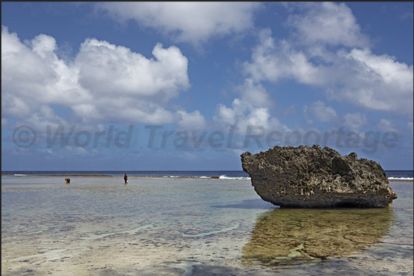 The island is completely surrounded by a coral platform that prevents ships from reaching the coast The island is completely surrounded by a coral platform that prevents ships from reaching the coast