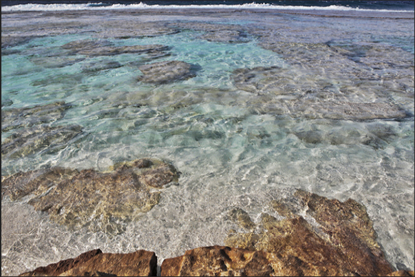 Natural swimming pools on the coral platform that protects the island Natural swimming pools on the coral platform that protects the island