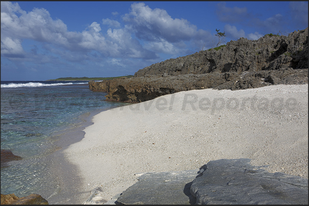 Atiu is one of the few places in the world where you can see the coral fossil