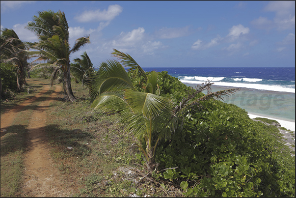 The only coastal road of the island The only coastal road of the island