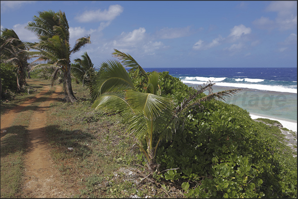 The only coastal road of the island