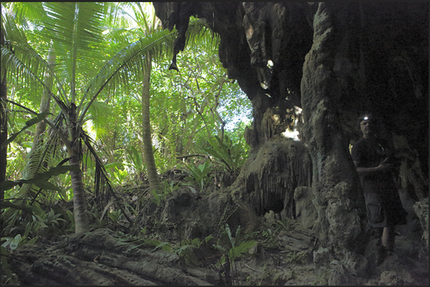 On the island there are several caves that were once submerged by the sea and which are today hidden in the forest 