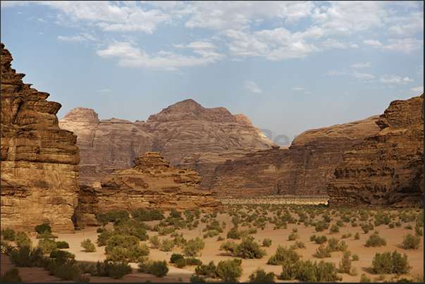 The 4x4 carrying tourists to visit the oases and the archaeological sites in the desert