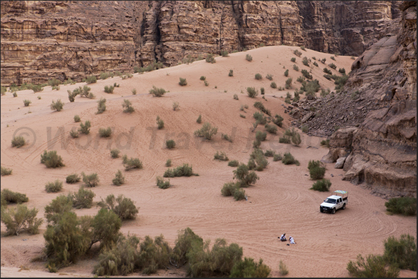 In the valleys protected from the wind, the humidity of the night allows the life of thorny bushes