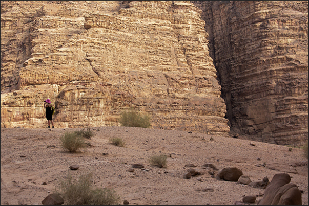 Among the high rock cliffs, deep canyons sudden appear