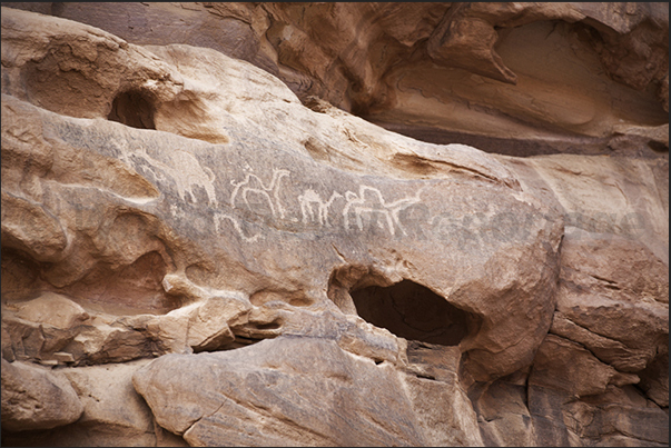 Ancient graphites are visible on the walls of the hidden valleys as this caravan of camels crossing the desert Ancient graphites are visible on the walls of the hidden valleys as this caravan of camels crossing the desert