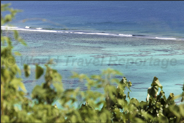 Lagoon in front of the northwest coast.