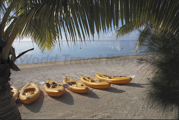 The canoe trip in the lagoon, one of the main activities of the tourists