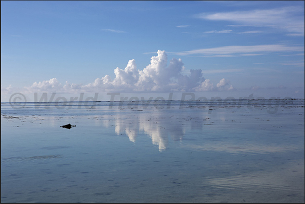 Reflections in the lagoon