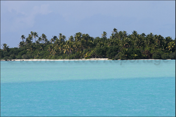 Akaiami Island, on the east side of the barrier, where there is a little resort