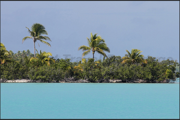 Akaiami Island, on the east side of the barrier