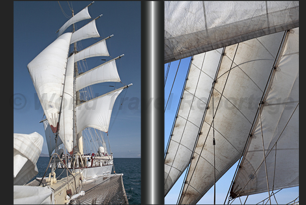 Fore sails on the fore mast and the jibs tensioned on the bow Fore sails on the fore mast and the jibs tensioned on the bow