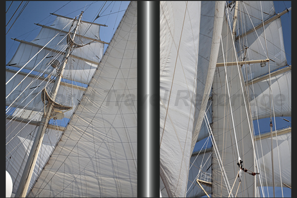 The square sails on the fore mast and main topgallant staysail The square sails on the fore mast and main topgallant staysail