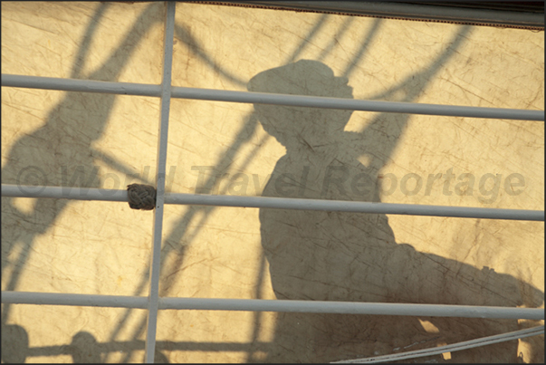 Shadow of a sailor on the sail. The photography, is one of the main hobbies of the passengers aboard the Clipper Shadow of a sailor on the sail. The photography, is one of the main hobbies of the passengers aboard the Clipper