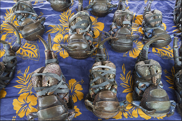 Market of Roh. Crabs, lobsters and shellfish, are the favorite food by the tourists