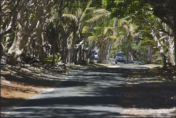 The coastal road