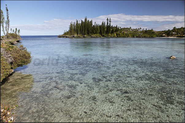 Turtle Bay in Mebuet (west coast). So called because the turtles, at low tide, they eat the algae on the bottom of the bay