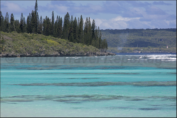 The south coast of the island