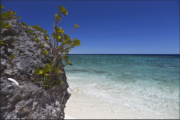 Beaches along the Cape Wabao on the west coast