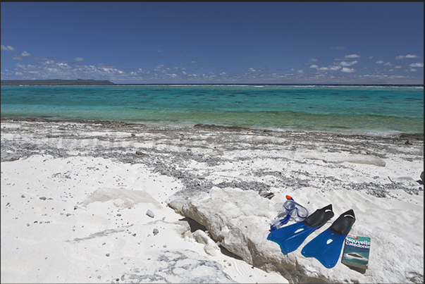 The equipment most used by tourists visiting the island: mask, fins and snorkel