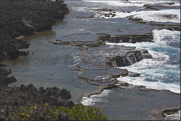 The coral platform protects the coast from the big ocean waves The coral platform protects the coast from the big ocean waves