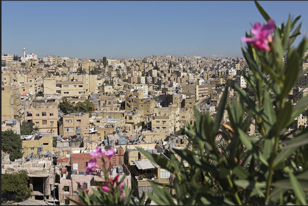 Amman, Jordanâ€™s capital, view from ancient Citadel