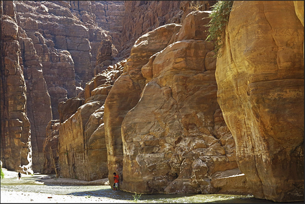 The entrance to the Wadi Mujib Canyon