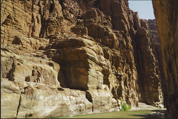 More you enter into the gorges of Wadi Mujib, more the canyon narrows