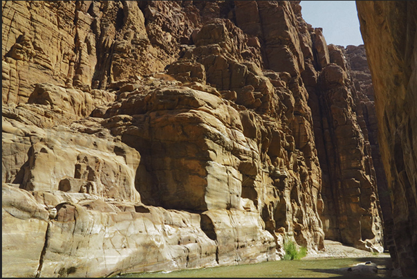 More you enter into the gorges of Wadi Mujib, more the canyon narrows More you enter into the gorges of Wadi Mujib, more the canyon narrows