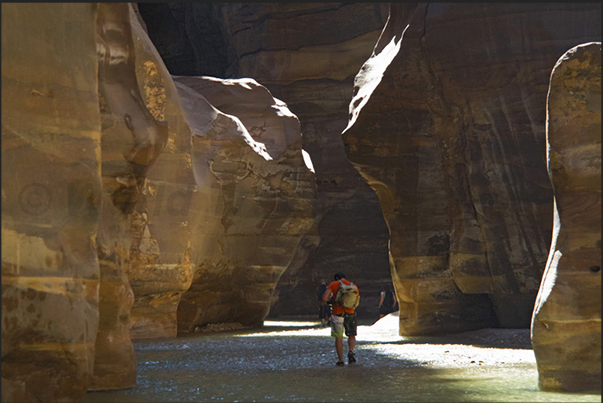 Wadi Mujib Canyon