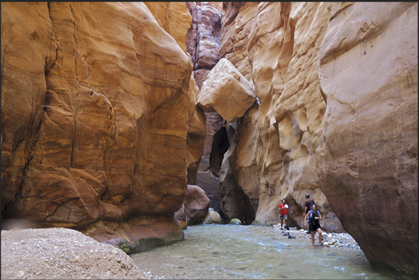 Wadi Mujib Canyon