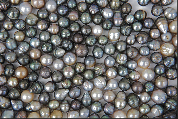 The pearls of the Cook Islands The pearls of the Cook Islands