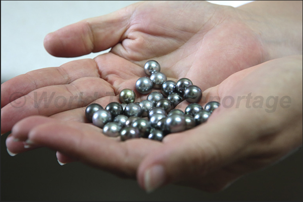 The pearls of the Cook Islands The pearls of the Cook Islands