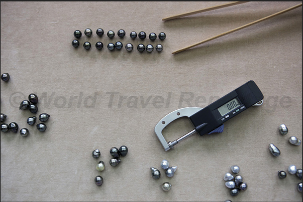 The tools for the selection of the pearls. A soft cloth a caliper to measure the diameter and a tweezers wooden to handle them The tools for the selection of the pearls. A soft cloth a caliper to measure the diameter and a tweezers wooden to handle them